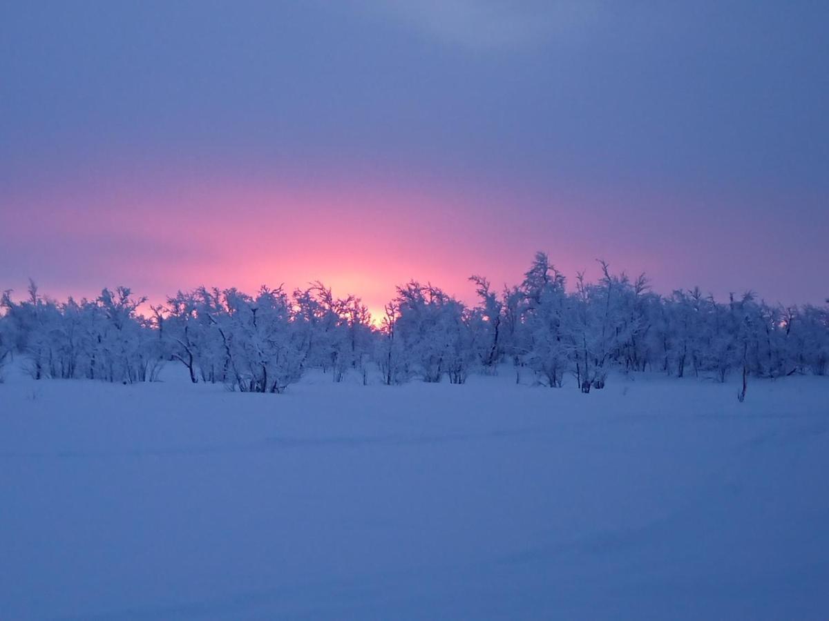 Mattarahkka Northern Light Lodge Kiruna Luaran gambar